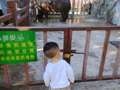 -贵州森林野生动物园