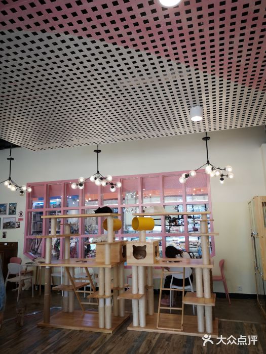 喵匠猫主题咖啡(凯德和平广场店)大堂图片