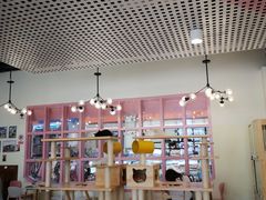 大堂-喵匠猫主题咖啡(凯德和平广场店)