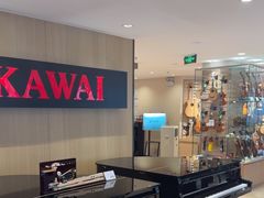 -柏斯音乐艺术中心·钢琴·吉他(上音店)