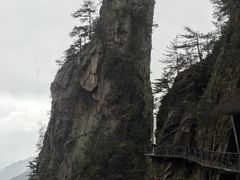 -大明山自然探索公园