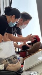 点击看大图 -小木马儿童摄影