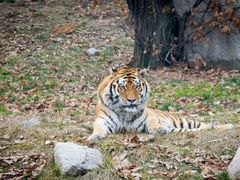 -西安秦岭野生动物园