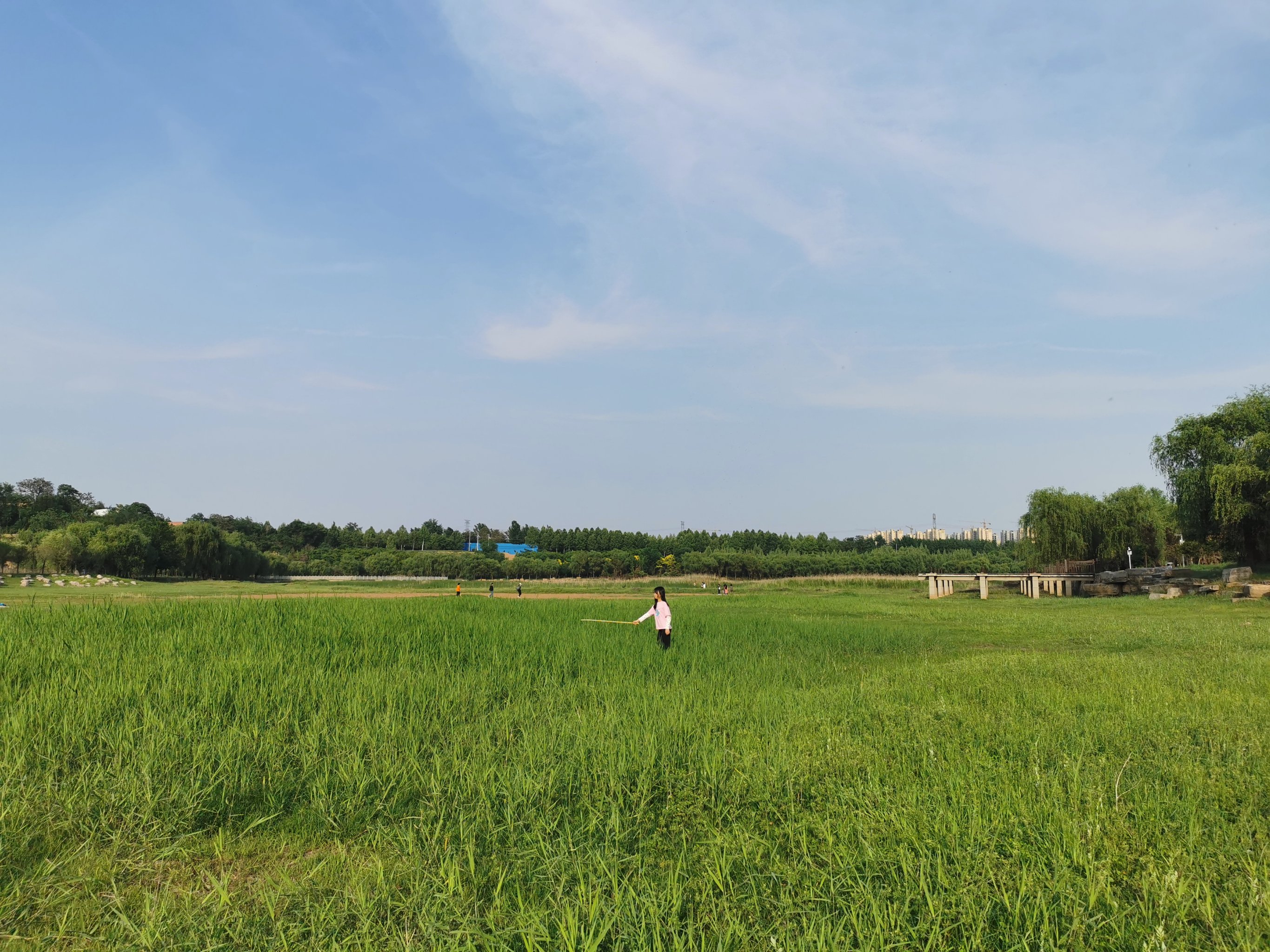 索河郊野公园图片