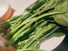 -杨氏青龙虾·羊蝎子(金盛路总店)