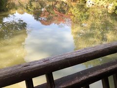 -随柳居·苏式小吃(建新巷店)