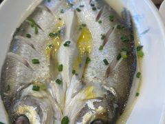-品鲜村农家菜·阳澄湖大闸蟹(总店)