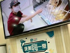 -宠颐生动物医院·小陆分院