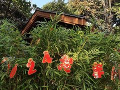 -成都市活水公园