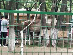 -长白岛森林公园