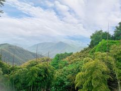 -莫干山风景区