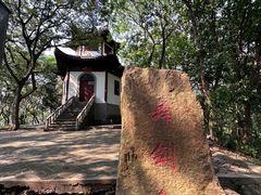 -上海佘山国家森林公园天马山园