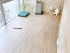 -Double Rui宠物酒店