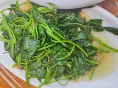 -海胆公主南澳岛美食海鲜