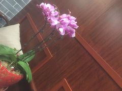 -裕和堂中医推拿艾灸(太古汇臻品店)