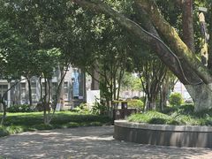 -墨池公园