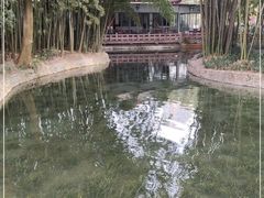 -望江楼公园