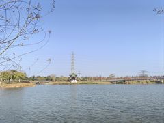 -王借岗森林公园