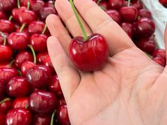 -西郊国际农产品交易中心