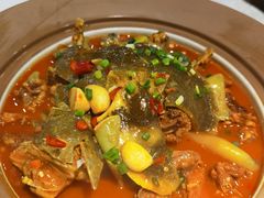 -洞庭家宴·头牌甲鱼(广渠门店)