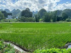 -万峰林风景区