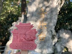 -音乐台