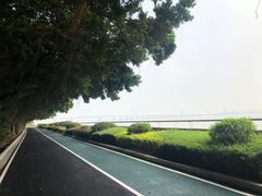 -大湾区中央湿地公园