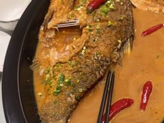 -辛香味烧鱼馆·非遗技艺·排骨红烧肉(光谷医药园店)