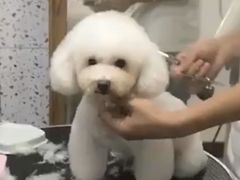 -有宠宠物(YOUCOIN·未来店)