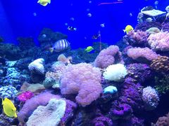 -成都浩海立方海洋公园