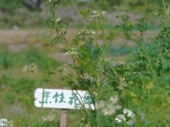 -尚贤河湿地