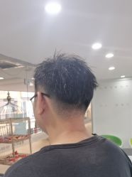 -镁连社·美联社
