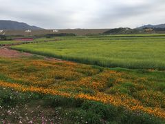 -光明小镇欢乐田园