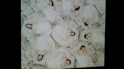 android_upload_pic-THE QUEEN(北京店)