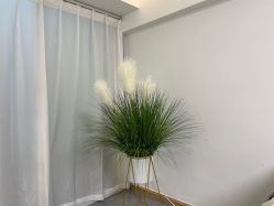 -Doris多里斯半永久纹眉·SMP纹发·发际线