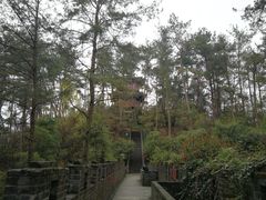-梦姑塘文化公园