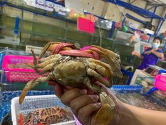 -三亚新鸿港水果一级批发市场