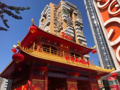 -越秀西湖花市(广州城市广场花卉店)
