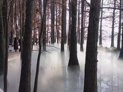 -东湖落雁景区