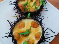 -海胆小馆(东北水饺·春柳店)