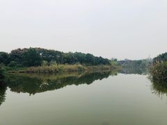 -白鹭湾湿地公园