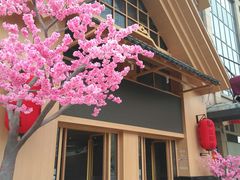 -蓝鲸湾汤泉(包河店)