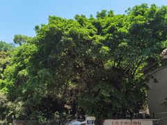 -广东紫坭糖厂(桥头路)