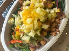 -油梨树AVOCADO TREE(顺义新国展店)