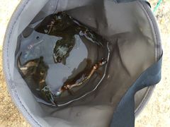 老虎石公园-老虎石海上公园