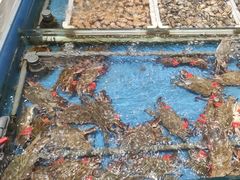 -映像威海·海鲜味道(经区店)