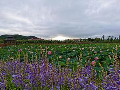 -六鼎山文化旅游区