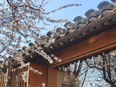 -春风习习