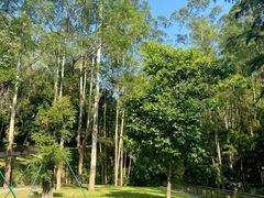 -火炉山森林公园