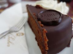 -Cafe Sacher(WIEN)